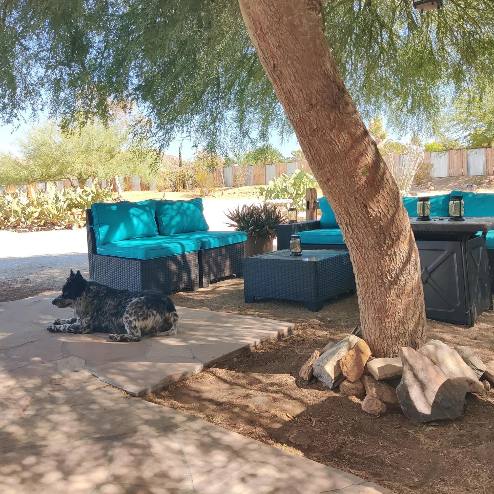 Joshua Tree Ranch House Motel - Downtown - Room #6 외부 사진